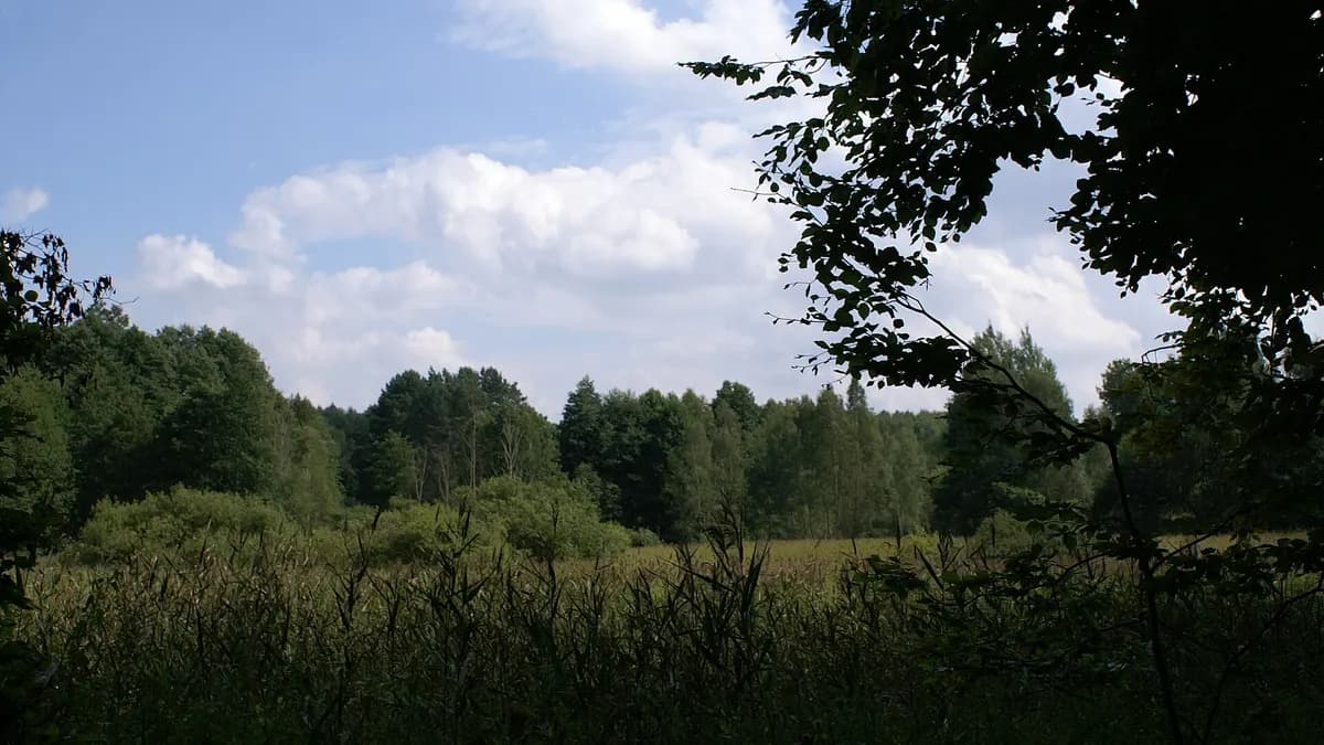 Landschaft im Biesenthaler Becken